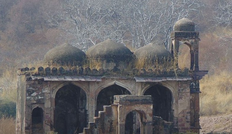 Raj Bagh Ruins