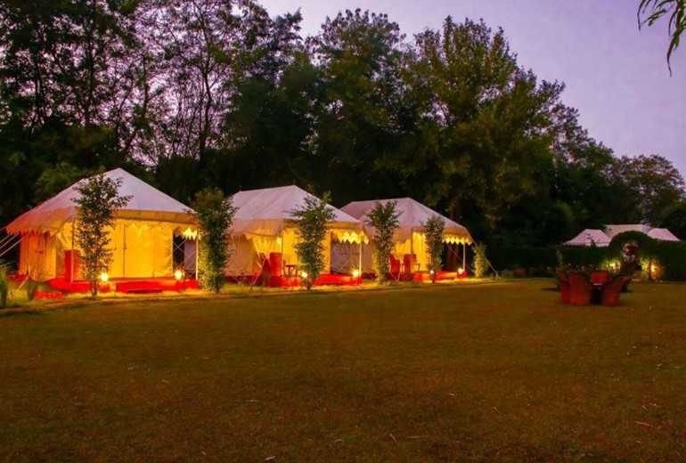 Jungle View Hotel Pool