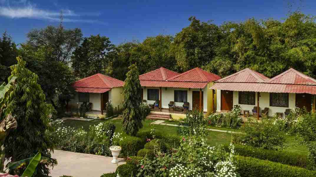 Jungle Retreat Hotel Room