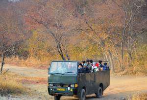 ranthambore national park jungle safari booking